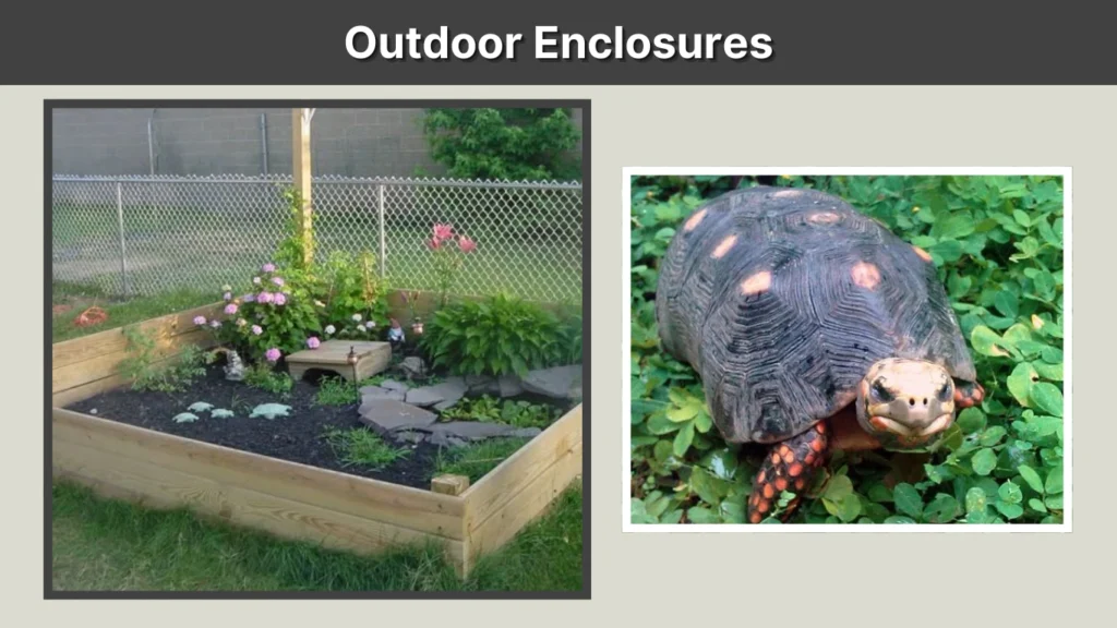 Outdoor Enclosures