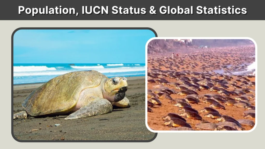 Population, IUCN Status & Global Statistics