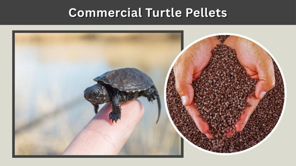 Commercial Turtle Pellets