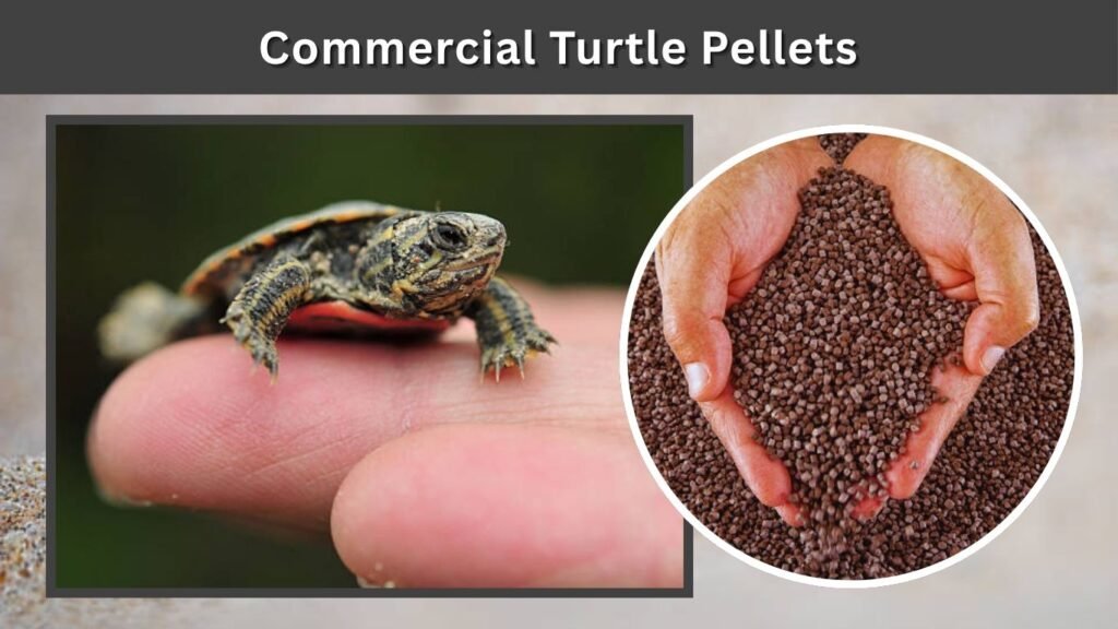 Commercial Turtle Pellets