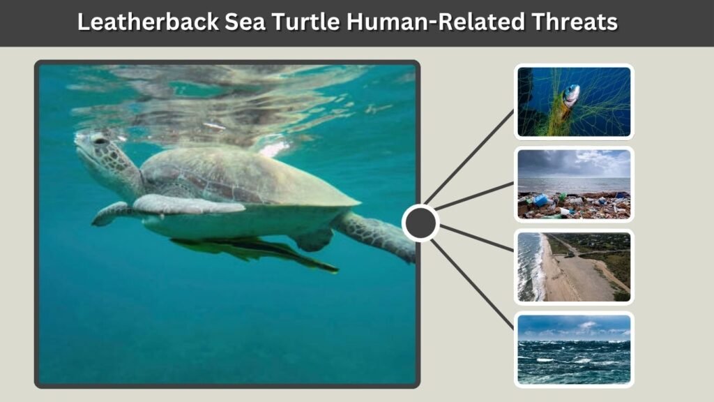 Human-Related Threats