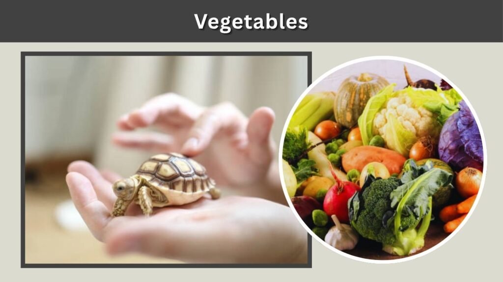 Vegetables
