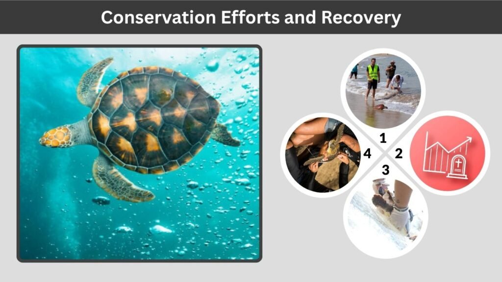 Natural Threats and Environmental Factors