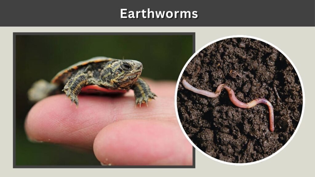Earthworms