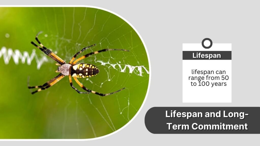 Lifespan and Long-Term Commitment