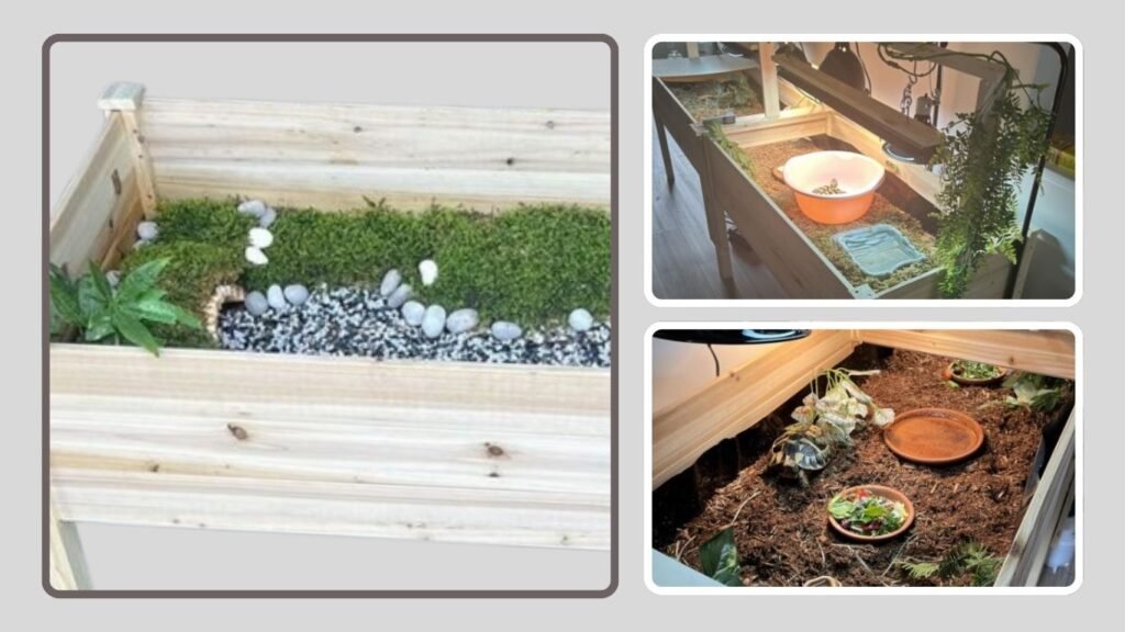 BIRASIL Indoor Tortoise Habitat for Landscaping