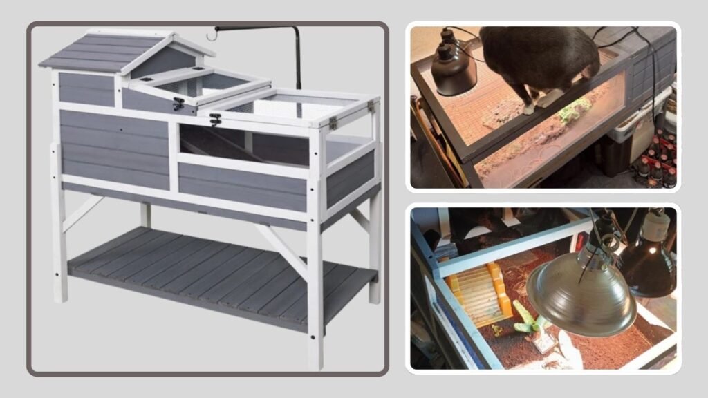 GEGURI Tortoise Habitat (Outdoor Enclosure)