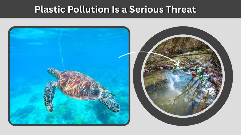 Plastic Pollution Is a Serious Threat
