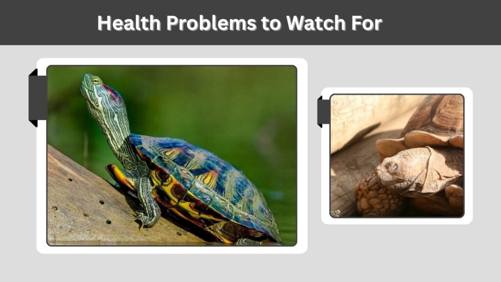 Health Problems to Watch For