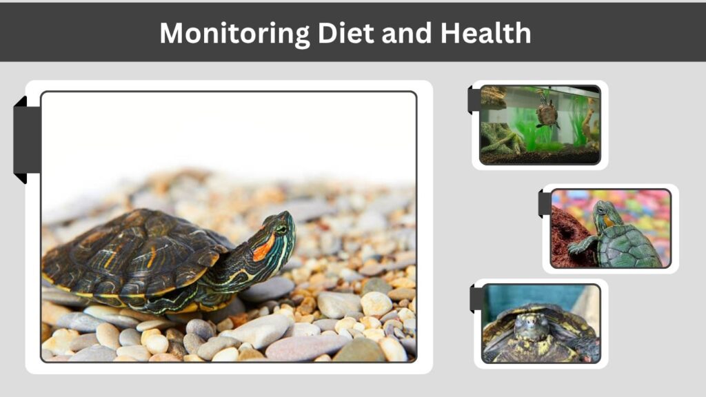Monitoring Diet and Health
