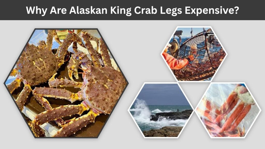Why Are Alaskan King Crab Legs Expensive?