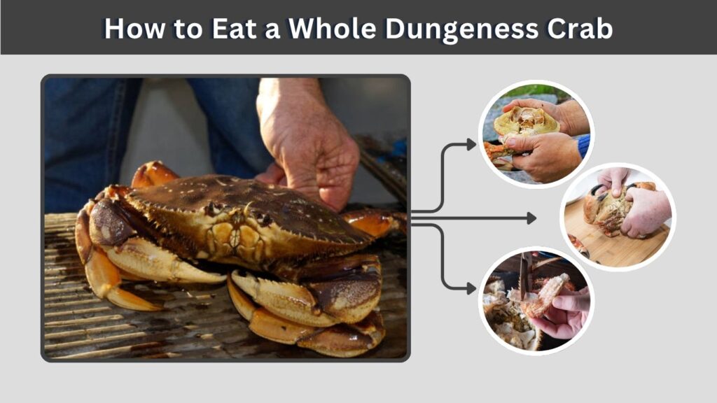 How to Eat a Whole Dungeness Crab