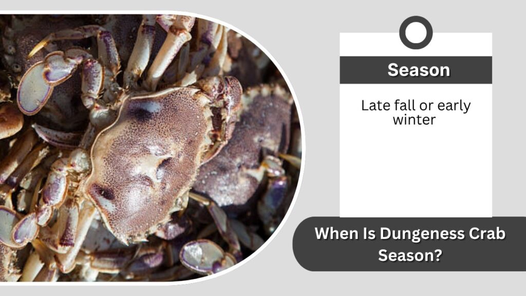 When Is Dungeness Crab Season?