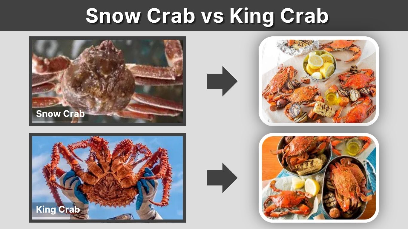 Snow Crab vs King Crab: Taste, Size, Legs, and Price