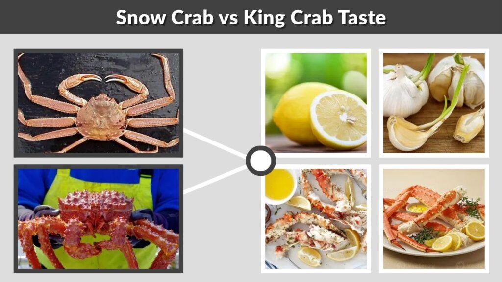 Snow Crab vs King Crab Taste