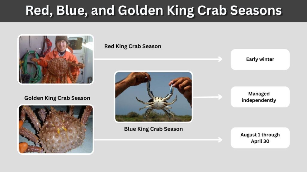 Red, Blue, and Golden King Crab Seasons