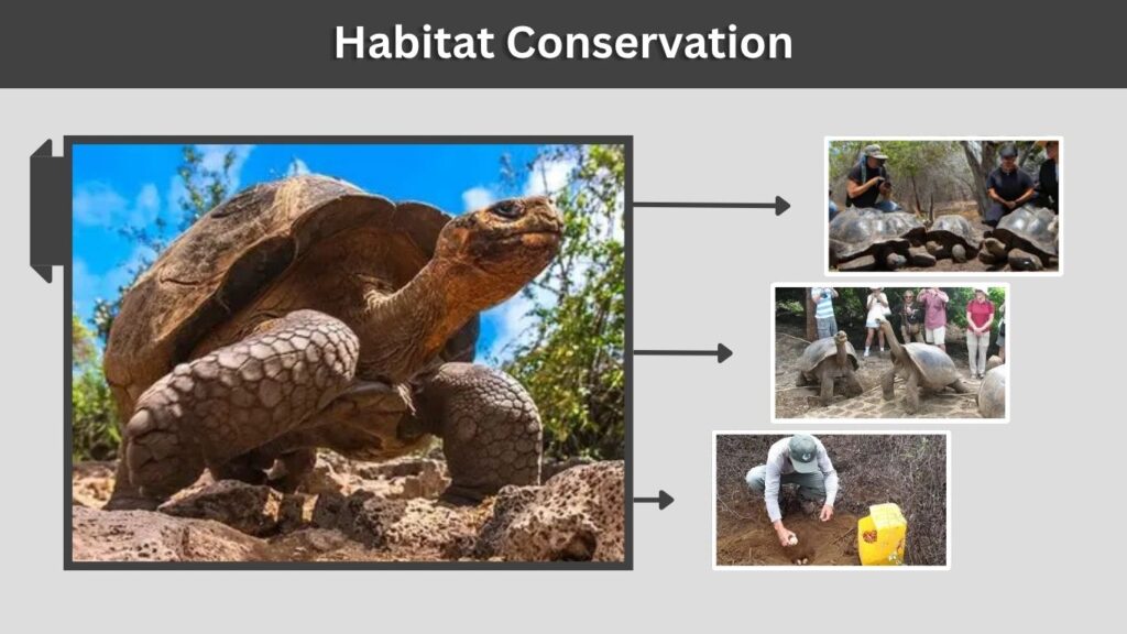 Habitat Conservation