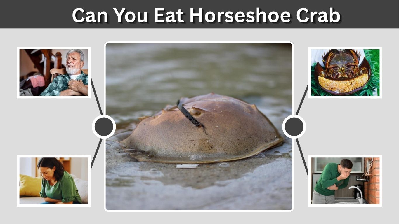 Can You Eat Horseshoe Crab? Safety, Toxicity, and Risks